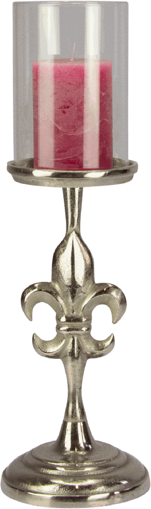 20295A99 + 23230A00 + Kerze.png