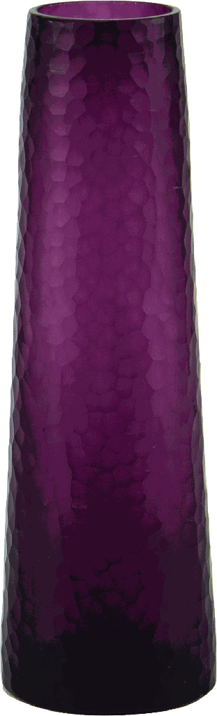 Vase Höhe 25 x Ø 8 cm Glas fuchsia