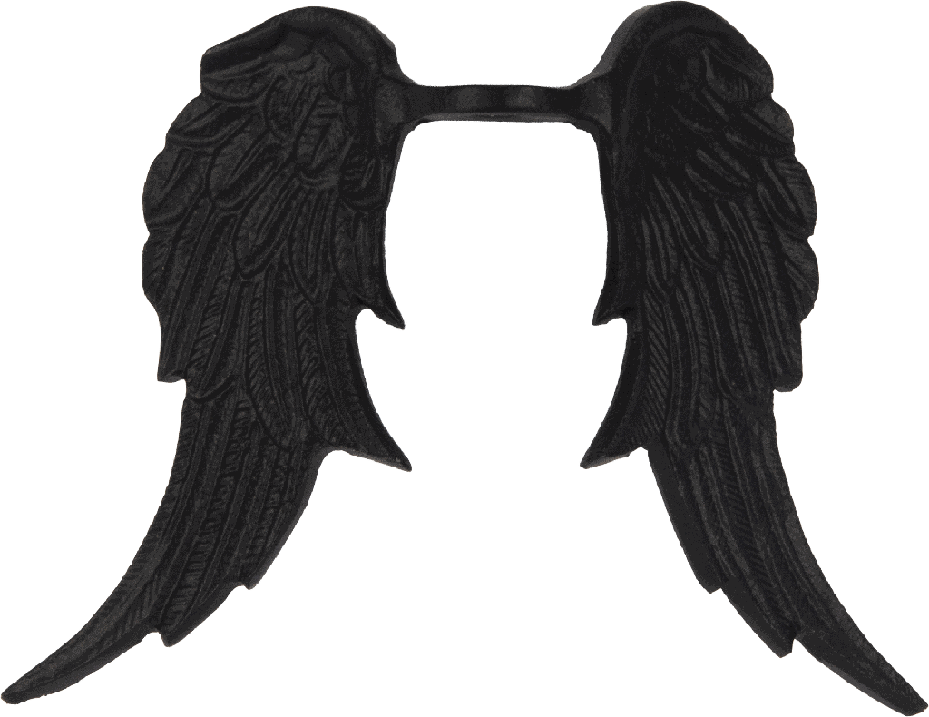 CUPID Engel-Flügel 16 cm Metall schwarz