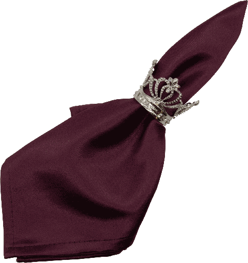 [22202A99] ROYAL Serviettenring