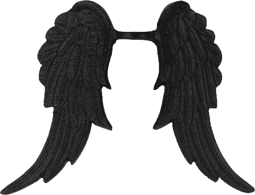 [24081F70] CUPID Engel-Flügel 24,5 cm Metall schwarz