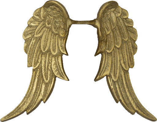 [24081F90] CUPID Engel-Flügel 24,5 cm Metall messing