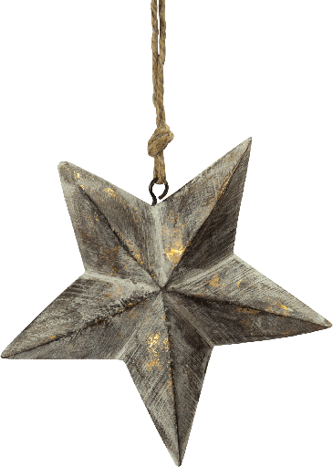 [21015W90] STAR Stern 14 cm