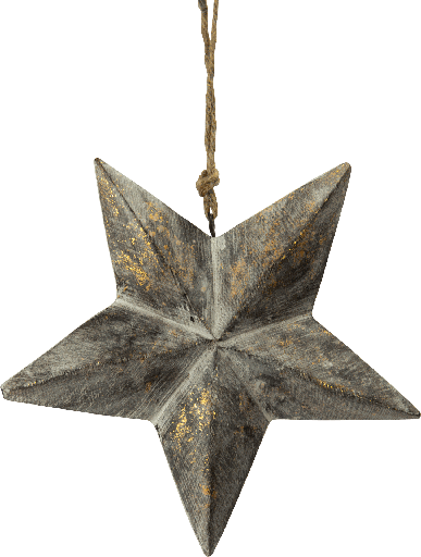 [21016W90] STAR Stern 18 cm