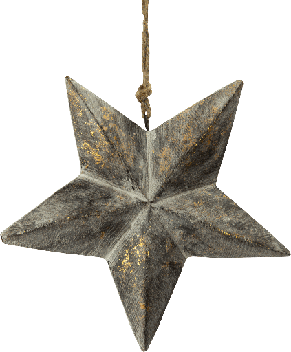 [21017W90] STAR Stern 19 cm